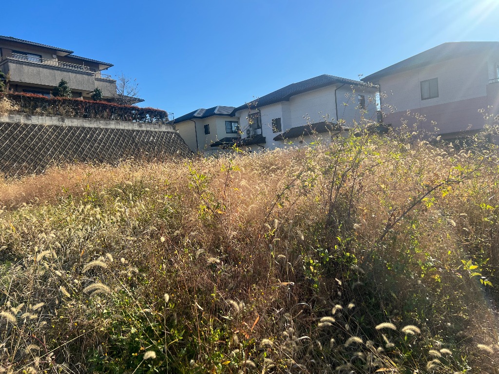 『日々のウルトラ』其の１０